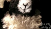feb_09_10