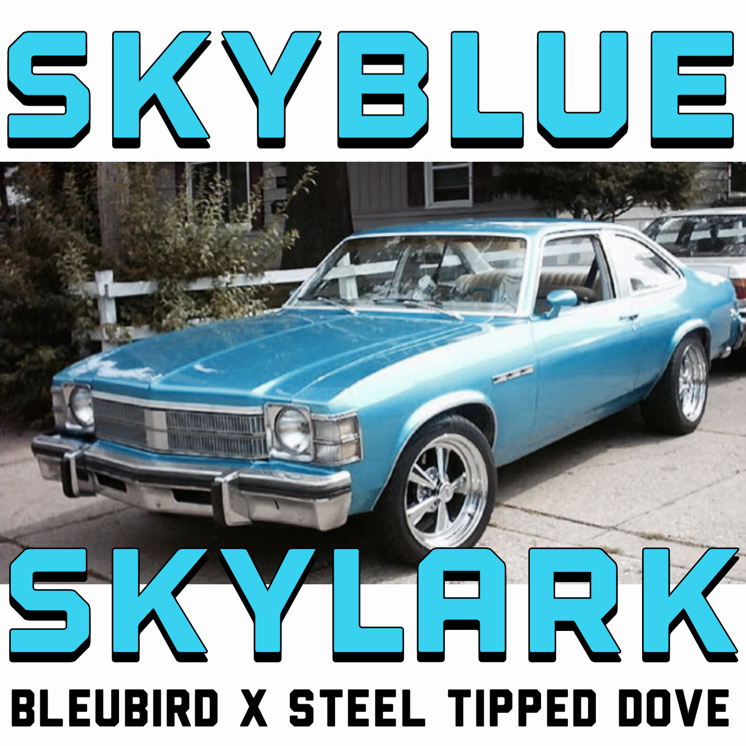 New Single: Skyblue Skylark (prod. Steel Tipped Dove)